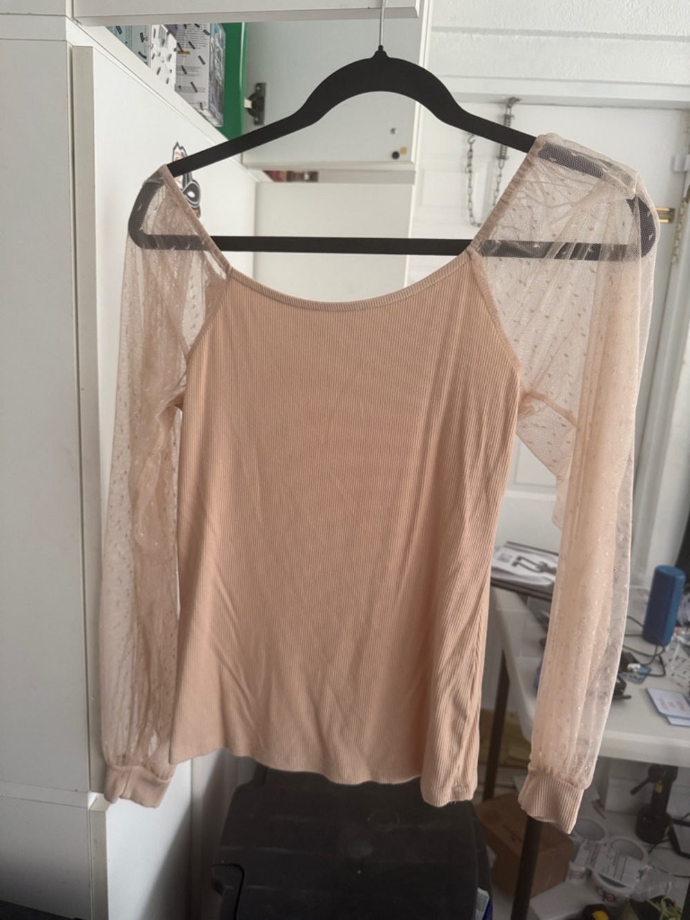 Sheer Dot Sleeve Ribbed Long Sleeve Top - Blush